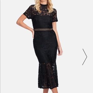 Bebe lace flare skirt dress